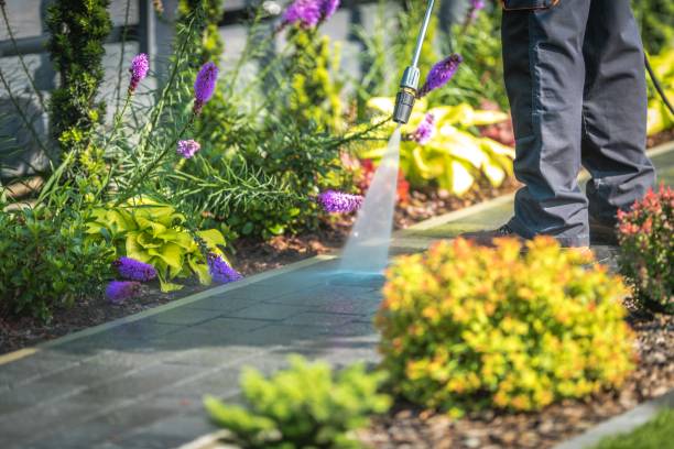Best Animal Enclosure Cleaning  in Massapequa, NY